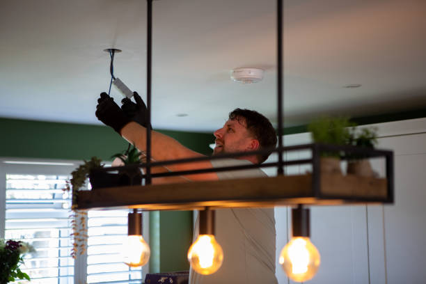 Best Electrical Repair Services  in Forest View, IL